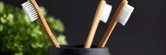 Quelles brosses à dents choisir