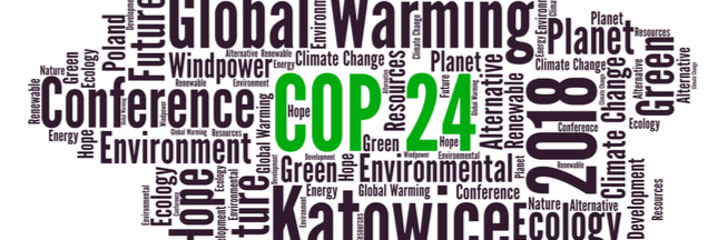 Quels enjeux pour la COP24 ?