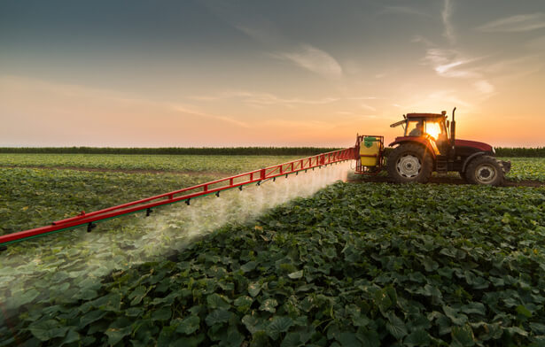 dicamba