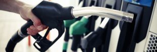 Carburants, transition écologique : des ONG rentrent dans le débat