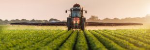 Les Etats-Unis renouvellent l'autorisation d'un pesticide controversé