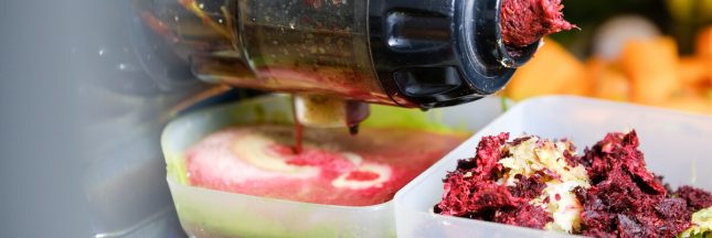 pulpe extracteur de jus