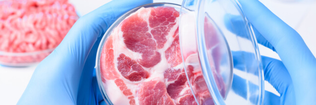 Les Américains pourraient bientôt manger de la viande de laboratoire
