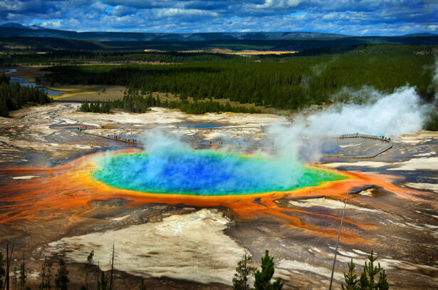 Réintroduction du loup : des bénéfices inattendus à Yellowstone