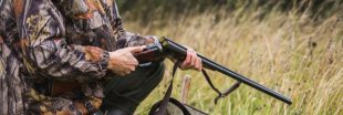 Le lobby de la chasse prend du poil de la bête