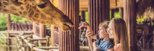 Zoo de Mulhouse : 150 ans et pas une ride ! - Interview de son directeur