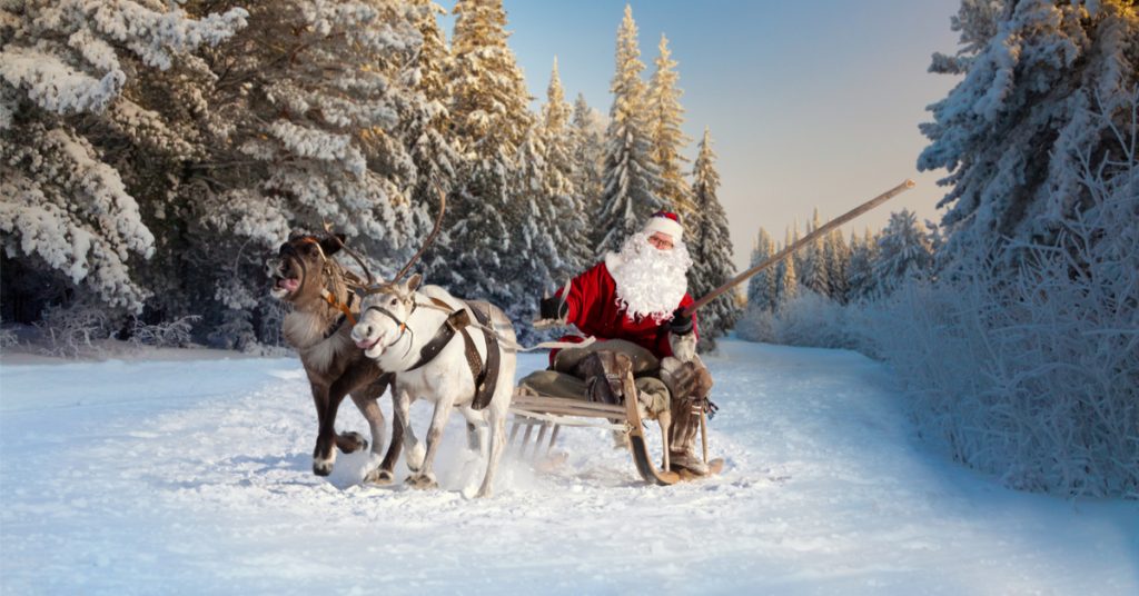 Quels seraient les autres animaux qui pourraient aider le Père-Noël…