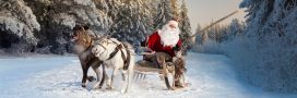 Quels seraient les autres animaux qui pourraient aider le Père-Noël...