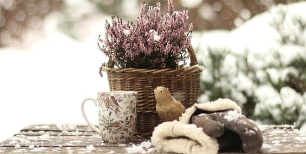 agroécologie hiver jardin potager enfant