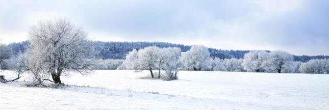 Pourquoi la neige rend-elle tout si calme et feutré ?