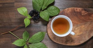 L'éleuthérocoque, cette racine qui donne un coup de fouet L'éleuthérocoque, cette racine qui donne un coup de fouet