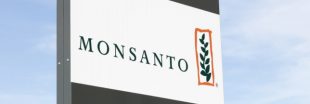 Monsanto: la justice française bloque la mise en vente du RoundUp Pro 360 Monsanto: la justice française bloque la mise en vente du RoundUp Pro 360