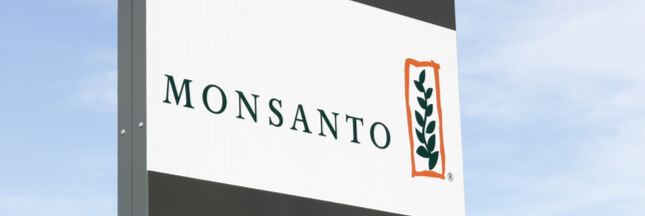 Monsanto : la justice française bloque la mise en vente du RoundUp Pro 360