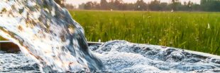 L'avenir des nappes phréatiques inquiète les scientifiques L'avenir des nappes phréatiques inquiète les scientifiques