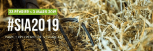Tout le programme du Salon de l'Agriculture 2019