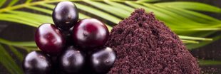 L'açaï, un super fruit pas superflu ?