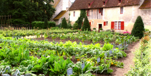 biocontrôle potager