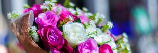 Guide pour bien choisir ses fleurs