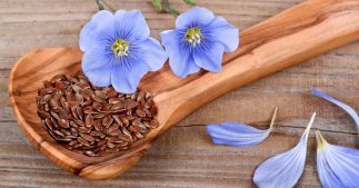 Comment consommer les graines de lin ? Comment consommer les graines de lin ?