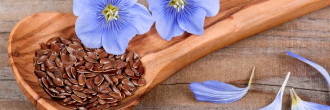 consommer les graines de lin