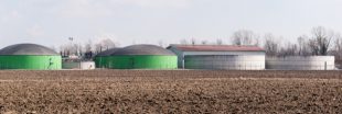 Les digestats de la méthanisation : un 'fertilisant écologique' empoisonné ?
