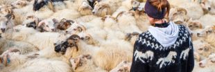 11 bonnes raisons de ne pas porter de laine