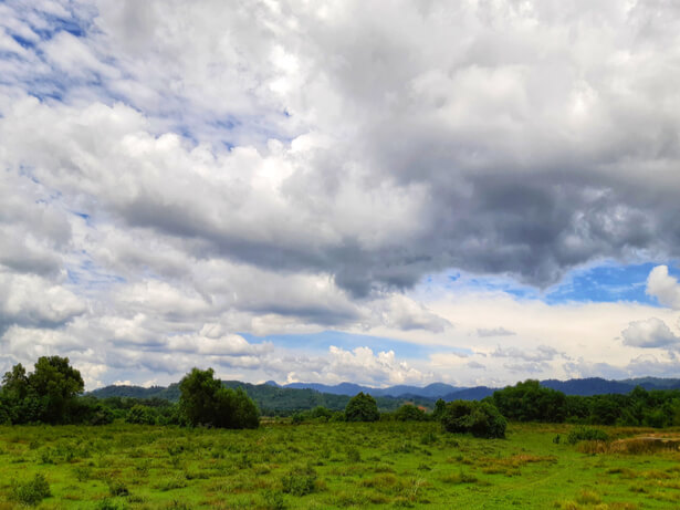 stratocumulus