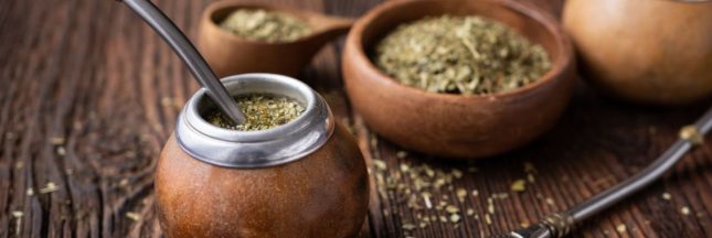 Les bienfaits du maté