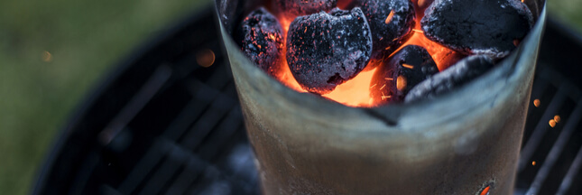 Quel charbon de bois pour vos barbecues cet été ?