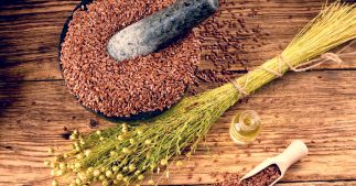 Les graines de lin : de précieuses alliées pour la santé ! Les graines de lin : de précieuses alliées pour la santé !