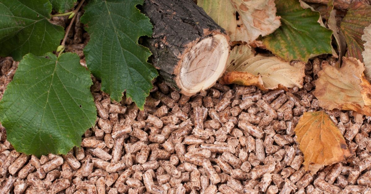 Faire des économies en achetant son poêle à granulés sur internet