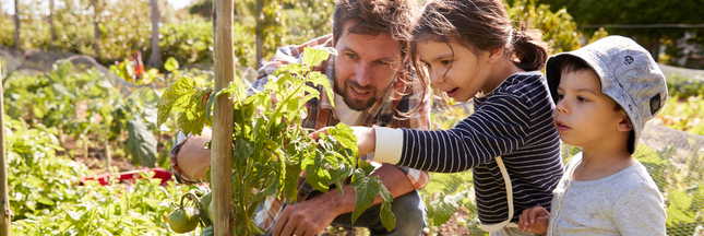 Sélection livre - Des ouvrages qui emmènent les enfants au jardin Sélection livre - Des ouvrages qui emmènent les enfants au jardin