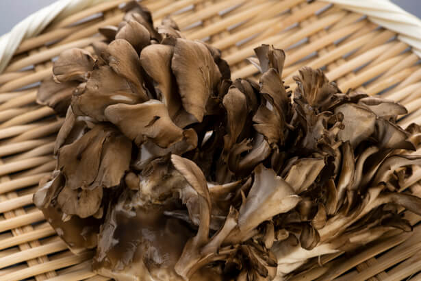 maitake