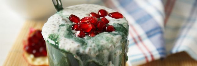 pudding graines chia chlorella