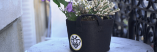 Portrait d'éco-acteur - Avec BeeBar, Coraline offre des tournées de fleurs aux abeilles