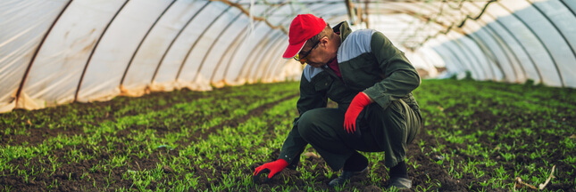 Serres chauffées, vrac, semences… Tout ce qui change pour l’agriculture bio !