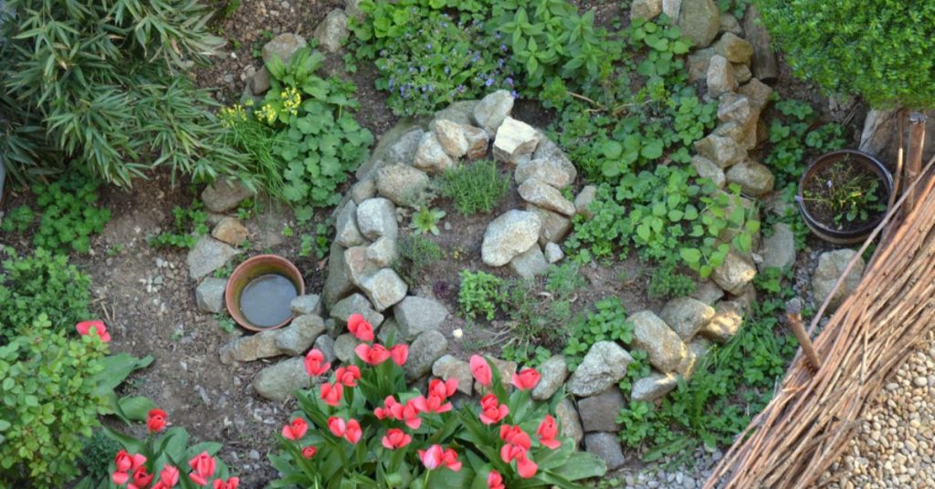 Réaliser une spirale aromatique pour encore plus de vie au potager !