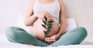 Pour tomber enceinte plus rapidement, essayez la spiruline Pour tomber enceinte plus rapidement, essayez la spiruline