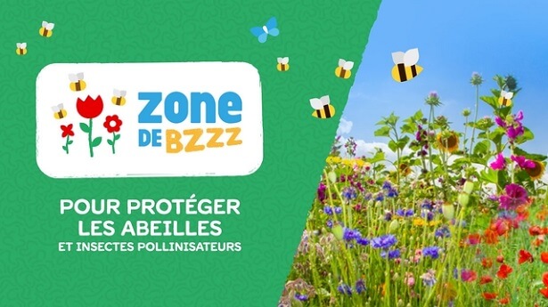 zone de bzzz