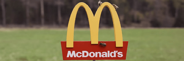 Une ruche à l’effigie des restaurants McDonald’s !