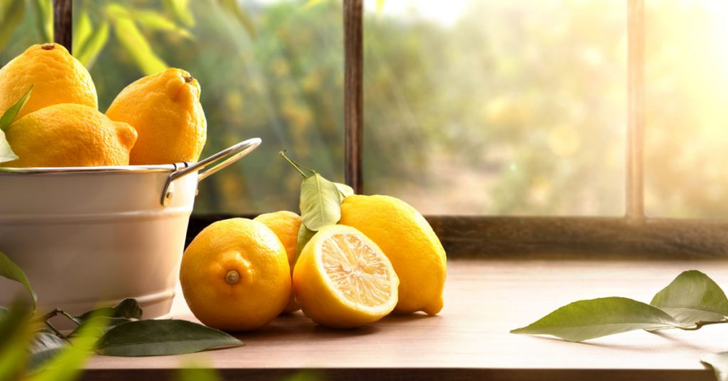 Faire germer un pépin de citron