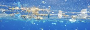 Marseille accueillera la première compétition de ramassage de déchets en mer