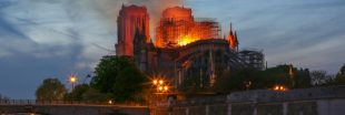 La restauration de Notre-Dame-de Paris menace-t-elle 55 arbres ?
