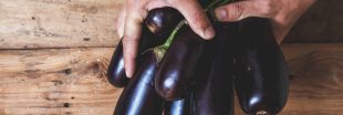 Association de culture : bonnes et mauvaises fréquentations de l'aubergine