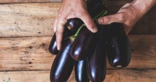 Association de culture : booster la croissance des aubergines avec les plantes alliées