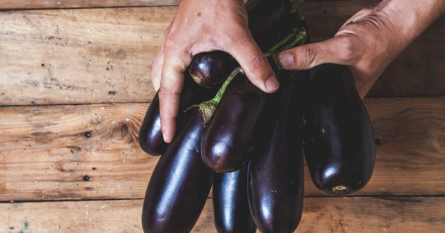 Association de culture : bonnes et mauvaises fréquentations de l’aubergine