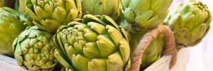 L'artichaut, un puissant antioxydant vert aux multiples bienfaits