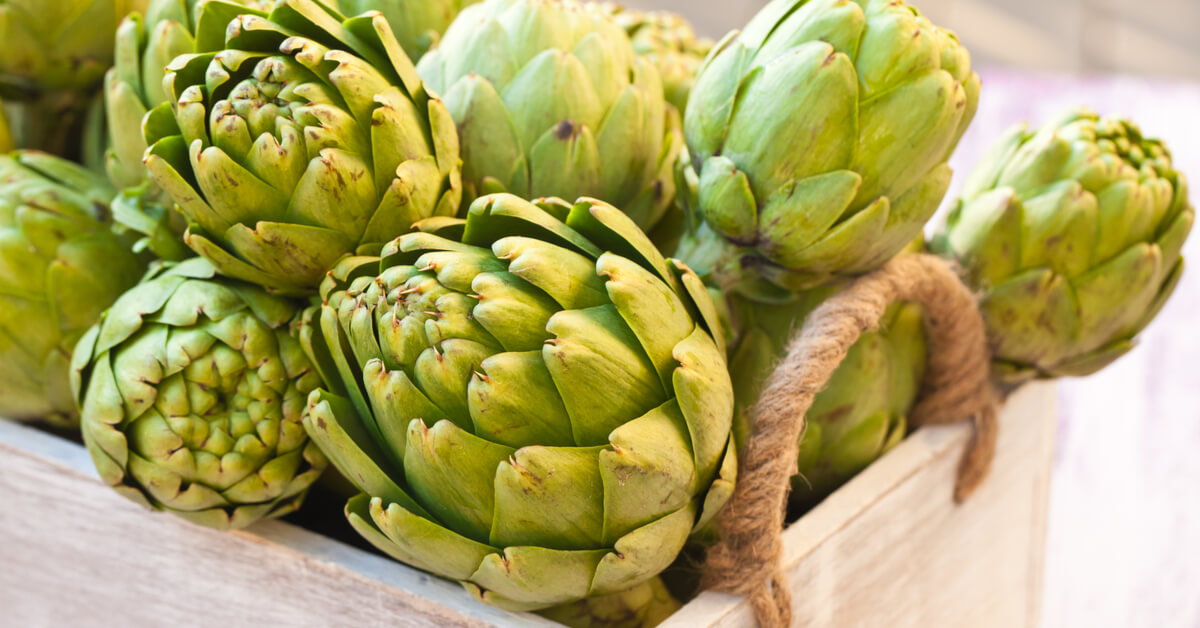 L'artichaut, un puissant antioxydant vert aux multiples bienfaits