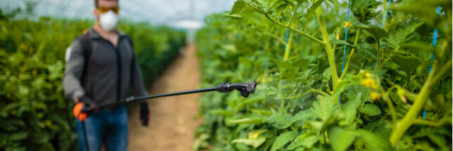 Insecticides : les dangers du chlorpyrifos, produit toxique toujours utilisé dans l’UE