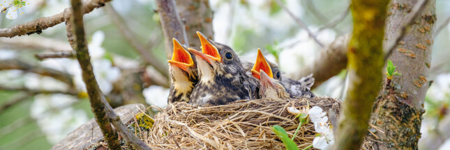 Qui a parlé de formation des jeunes aux 9e Assises Nationales de la Biodiversité ?